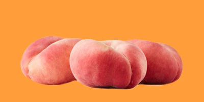 Butt and Anal Toys